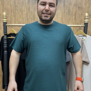 تیشرت بیسکویتی سایز بزرگ ( 896 )