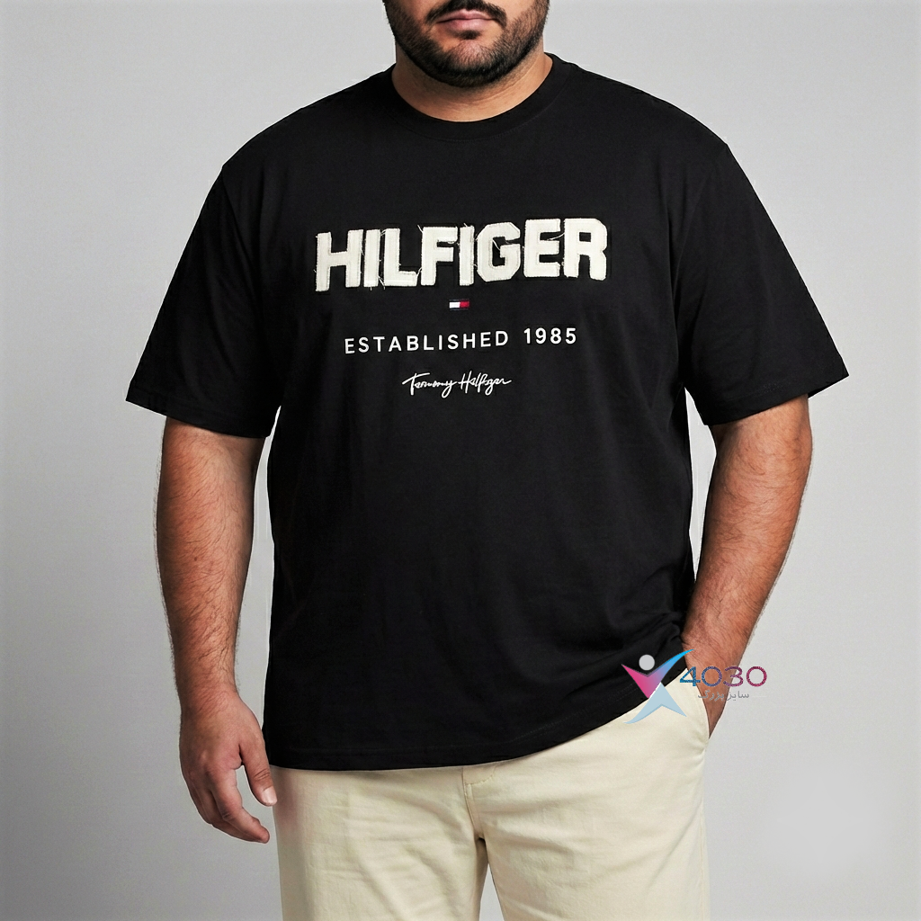 تیشرت HILFIGER سایزبزرگ ( 702 ) - Image 5