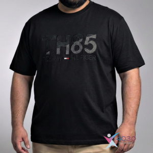 تیشرت TH85 سایزبزرگ ( 722 )